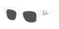 Ray-Ban Wayfarer Puffer Crystal Edition RB 4940B 6863/87