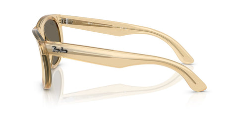 Ray-Ban Wayfarer Reverse RB R0502S 6821/5A Sunglasses