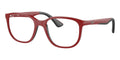 Ray-Ban Youth RY 9078V 3950 Youth Fit Glasses
