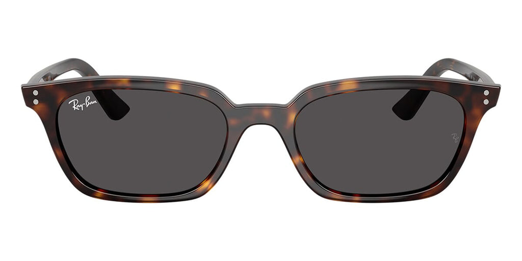 Ray-Ban Zaya RB 4456 1359/87 Sunglasses - US