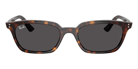 Ray-Ban Zaya RB 4456 1359/87 Sunglasses