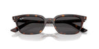 Ray-Ban Zaya RB 4456 1359/87 Sunglasses