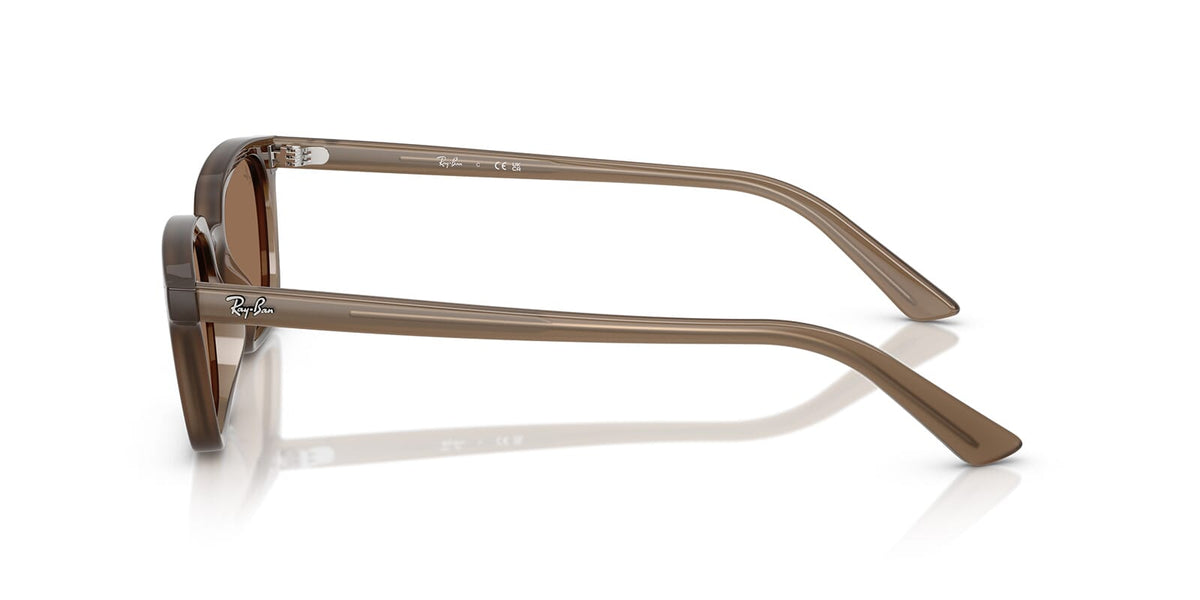 Ray-Ban Zaya RB 4456 6779/73 Sunglasses