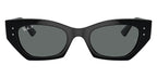 Ray-Ban Zena RB 4430 6677/81 Polarised Sunglasses