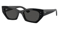 Ray-Ban Zena RB 4430 6677/87 Sunglasses
