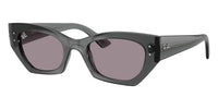 Ray-Ban Zena RB 4430 6924/1A