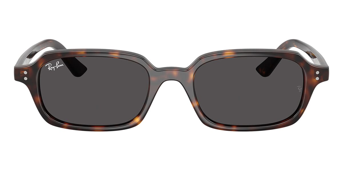Ray-Ban Zuri RB 4455 1359/87 Sunglasses