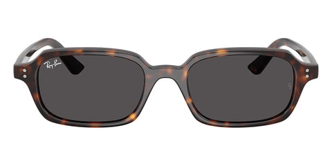 Ray-Ban Zuri RB 4455 1359/87 Sunglasses