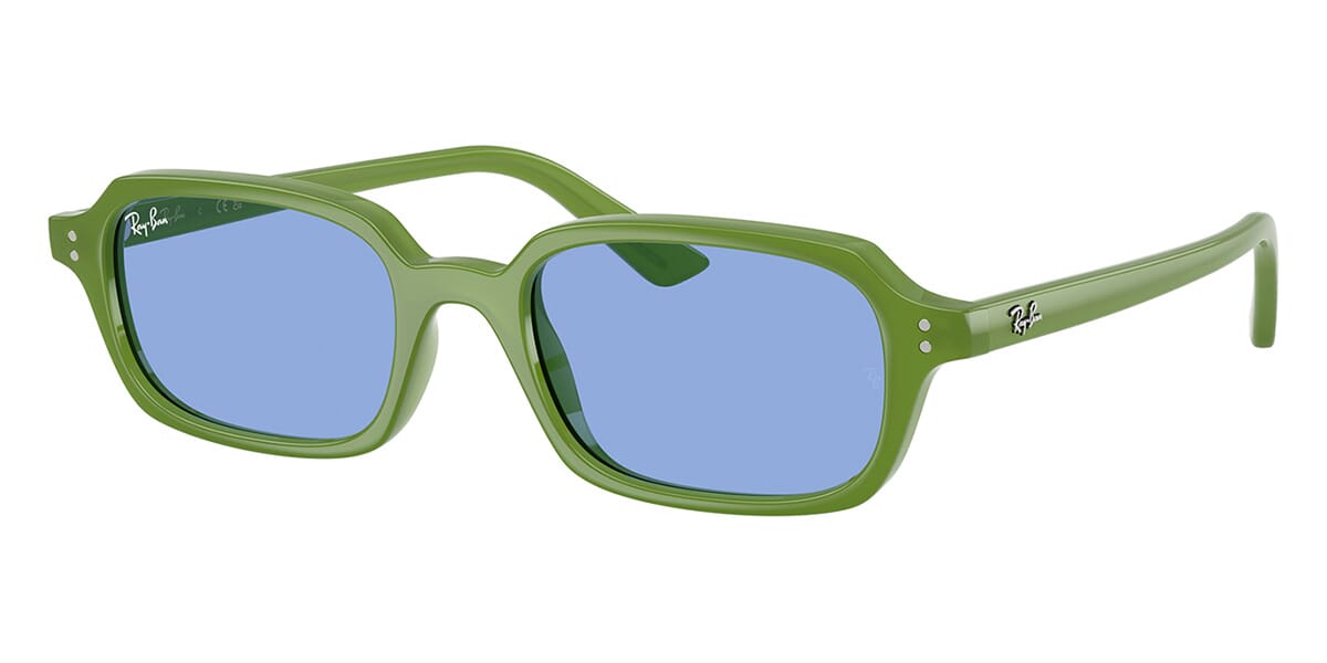 Ray-Ban Zuri RB 4455 6810/80 Sunglasses