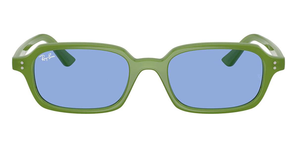 Ray-Ban Zuri RB 4455 6810/80 Sunglasses