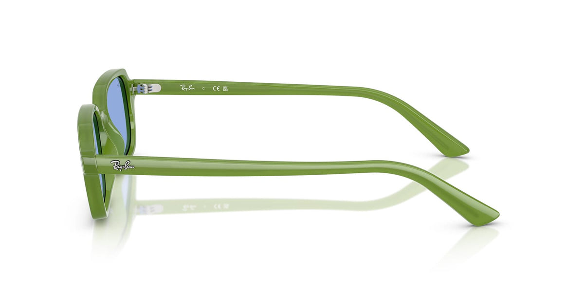 Ray-Ban Zuri RB 4455 6810/80 Sunglasses