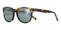 Revo Tatum RE 1254 02 SG50 Polarised