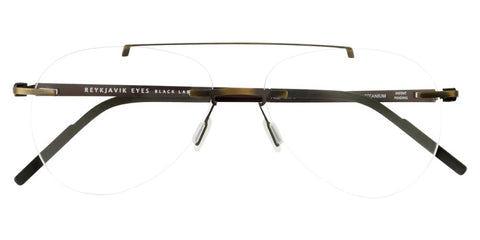 Reykjavik Eyes Black Label Alba C3 Glasses
