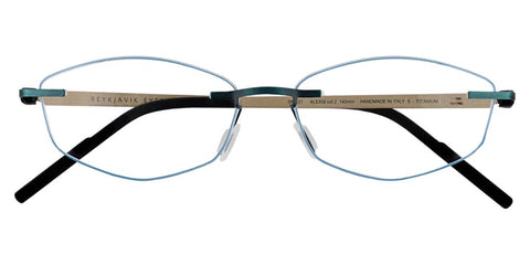 Reykjavik Eyes Black Label Alexis C2 Glasses