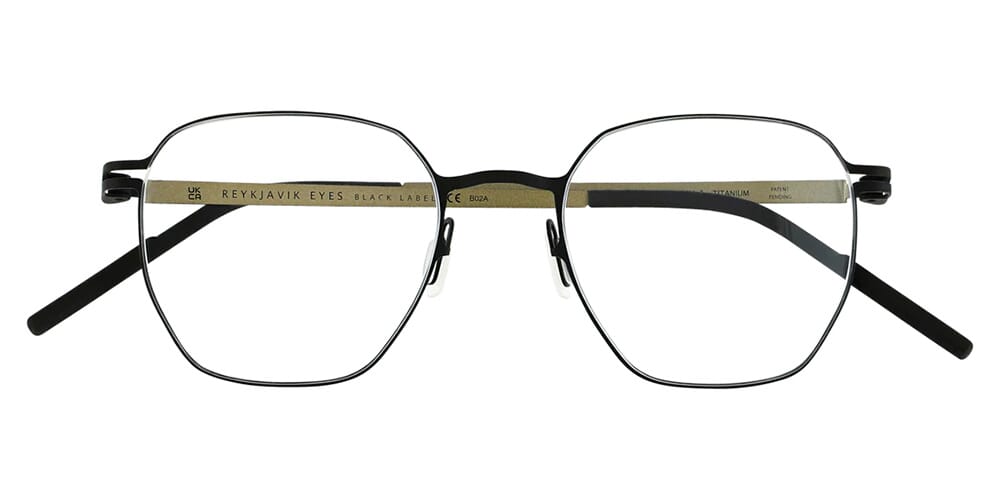 Reykjavik Eyes Black Label Alvar C1 Glasses