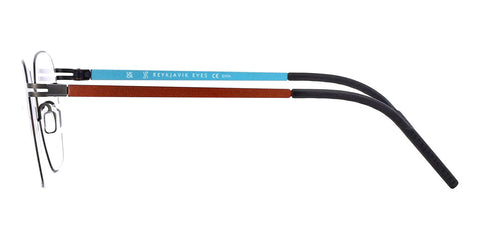 Reykjavik Eyes Black Label Alvar C2