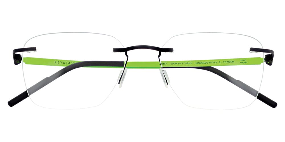 Reykjavik Eyes Black Label Edvin C2 Glasses