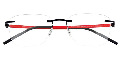 Reykjavik Eyes Black Label Edvin C3 Glasses