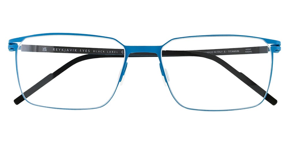 Reykjavik Eyes Black Label Hextor C2 Glasses