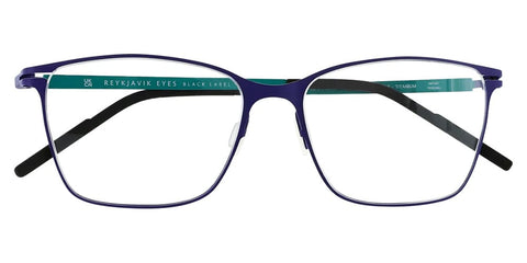 Reykjavik Eyes Black Label Kristin C2 Glasses