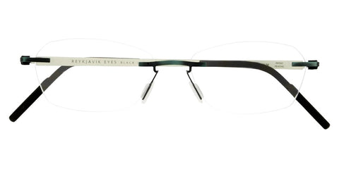 Reykjavik Eyes Black Label Marta C2 Glasses