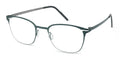 Reykjavik Eyes Mikael C4 Glasses