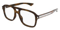 Saint Laurent SL 881 Opt 003 Glasses