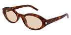 Saint Laurent Sun SL 567 008 Sunglasses