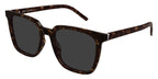 Saint Laurent Sun SL M146 002 Sunglasses