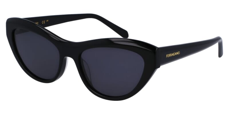 Salvatore Ferragamo SF1103S 001 Sunglasses