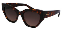 Ferragamo SF1107S 242