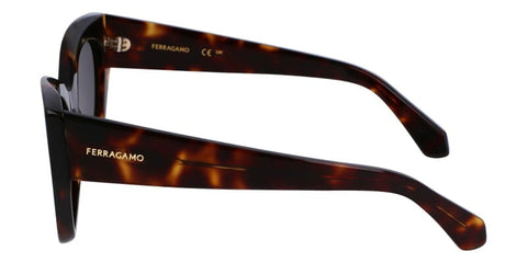 Salvatore Ferragamo SF1107S 242 Sunglasses