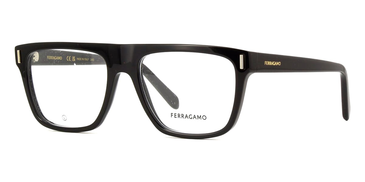 ferragamo goggles Ferragamo SF2997 001