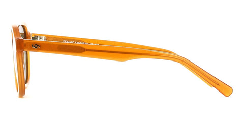 Seeing Society Ness C4 Polarised Sunglasses