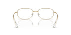 Swarovski SK1005 4013 Glasses