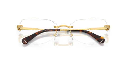 Swarovski SK1031 4007 Glasses