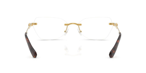 Swarovski SK1031 4007 Glasses