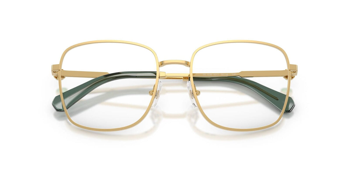 Swarovski SK1036 4017 Glasses