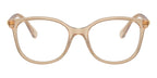 Swarovski SK2002 1034 Glasses