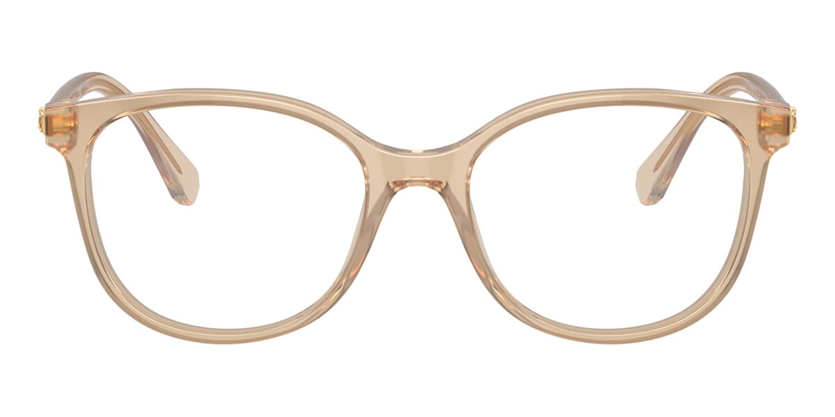 Swarovski SK2002 1034 Glasses
