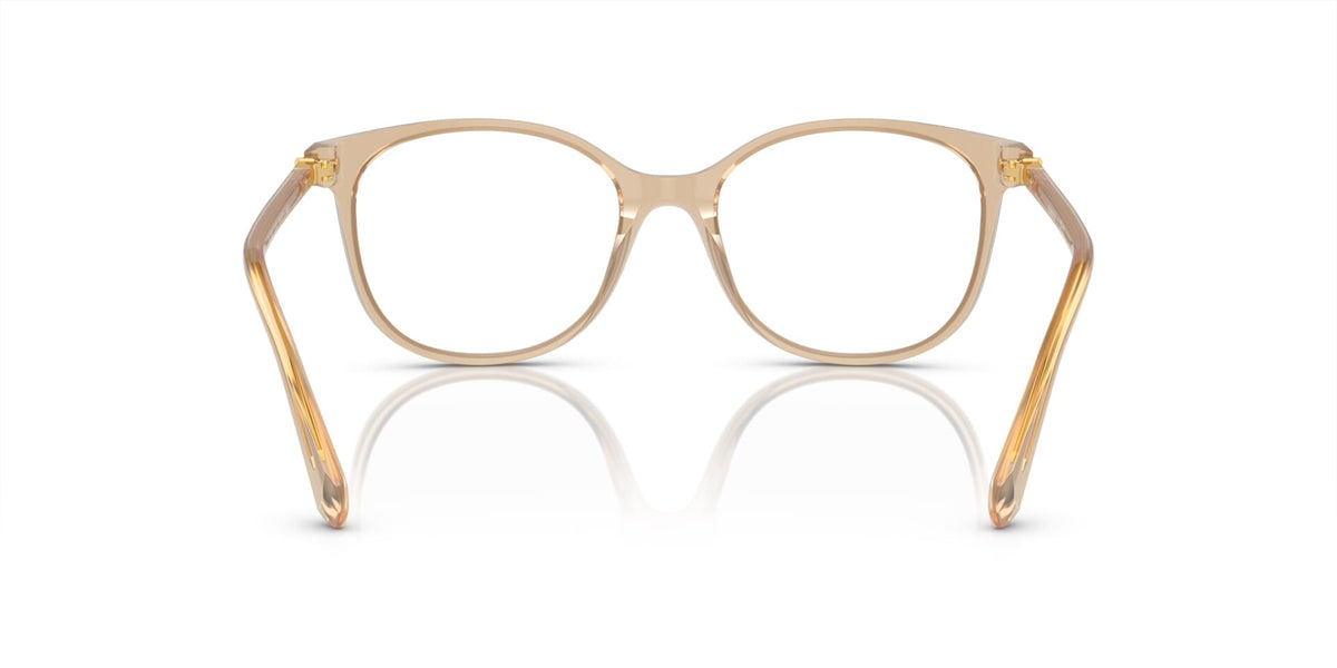 Swarovski SK2002 1034 Glasses