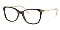 Swarovski SK2010 1002 Glasses