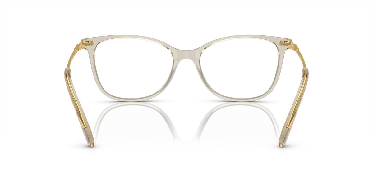 Swarovski SK2010 3003 Glasses