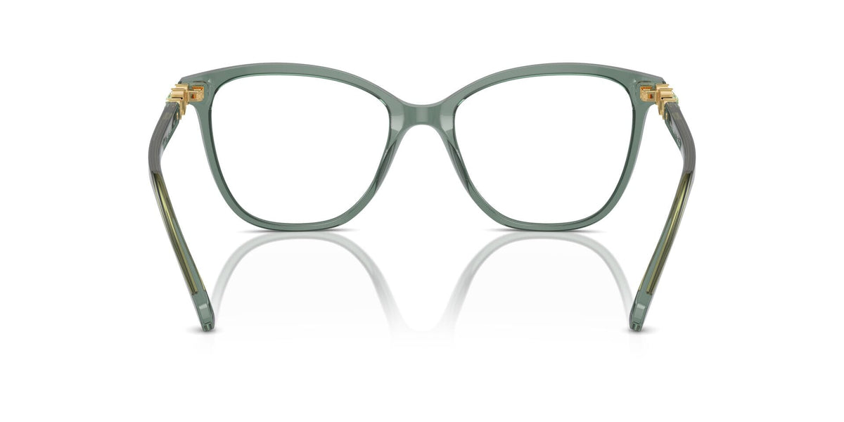 Swarovski SK2020 1043 Glasses