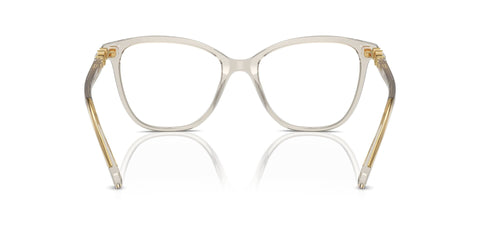 Swarovski SK2020 3003 Glasses