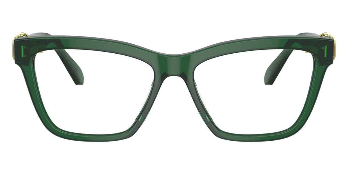 Swarovski SK2021 1045 Glasses