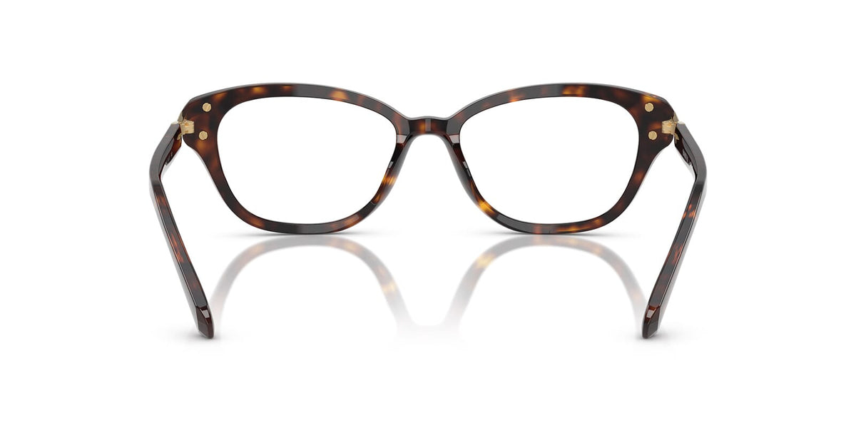 Swarovski SK2032 1002 Glasses
