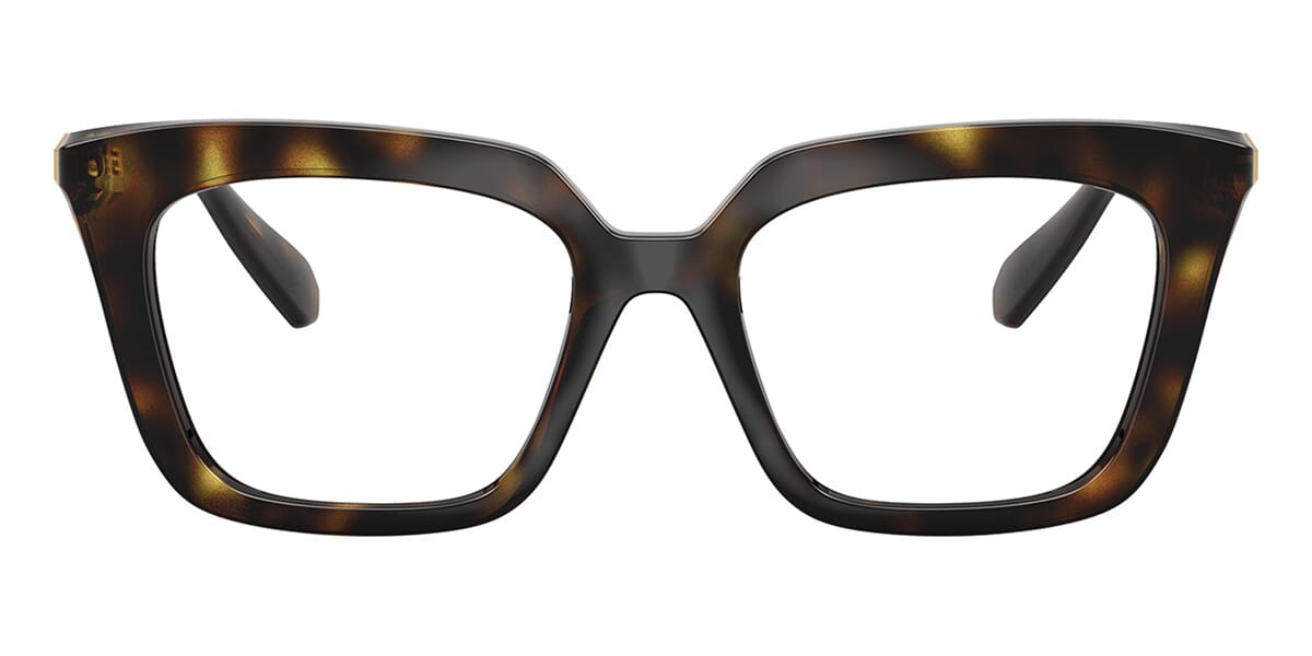 Swarovski SK2043 1002 Glasses