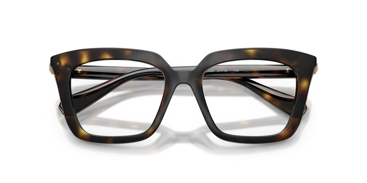 Swarovski SK2043 1002 Glasses