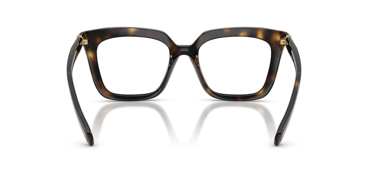 Swarovski SK2043 1002 Glasses